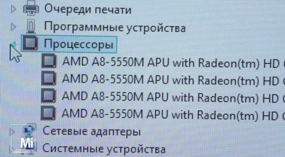 Asus X550DP